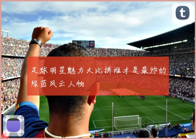 足球明星魅力大比拼谁才是最帅的绿茵风云人物