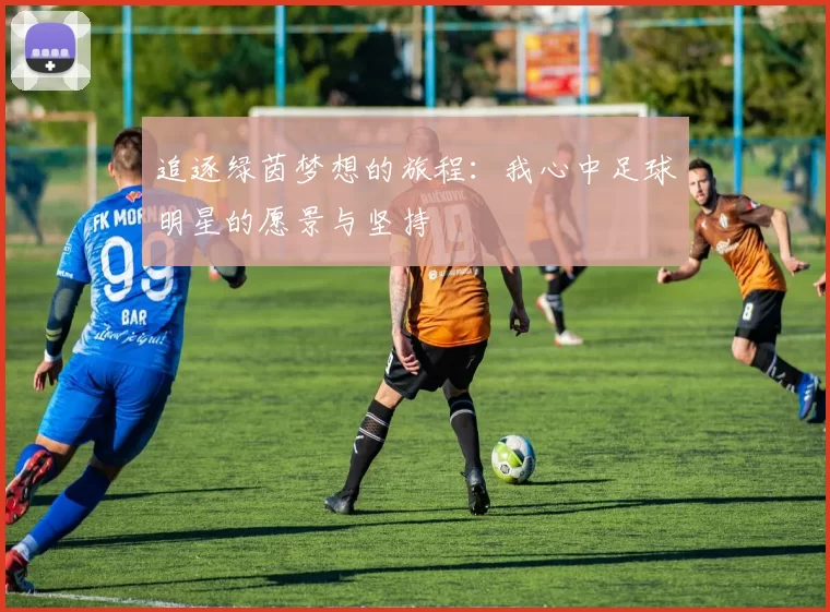 追逐绿茵梦想的旅程：我心中足球明星的愿景与坚持