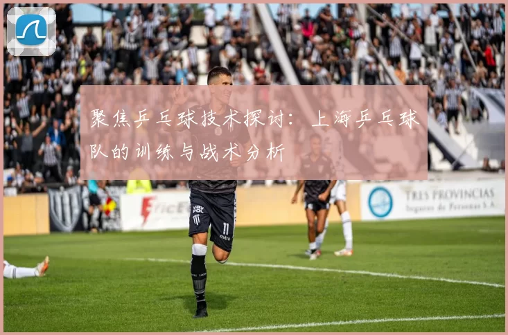 聚焦乒乓球技术探讨：上海乒乓球队的训练与战术分析