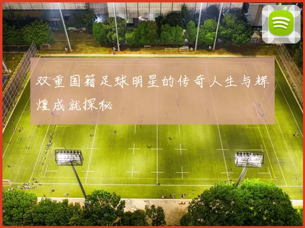 双重国籍足球明星的传奇人生与辉煌成就探秘