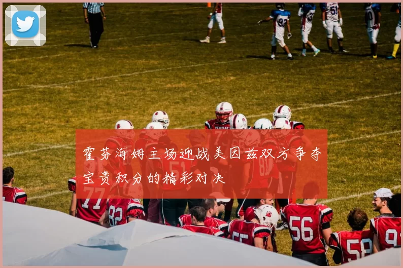 霍芬海姆主场迎战美因兹双方争夺宝贵积分的精彩对决