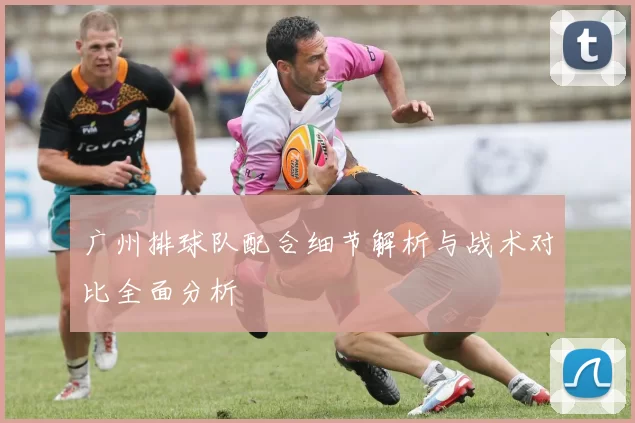 广州排球队配合细节解析与战术对比全面分析