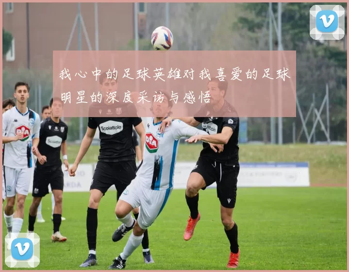 我心中的足球英雄对我喜爱的足球明星的深度采访与感悟