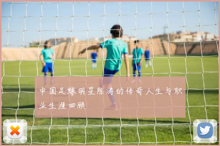中国足球明星陈涛的传奇人生与职业生涯回顾