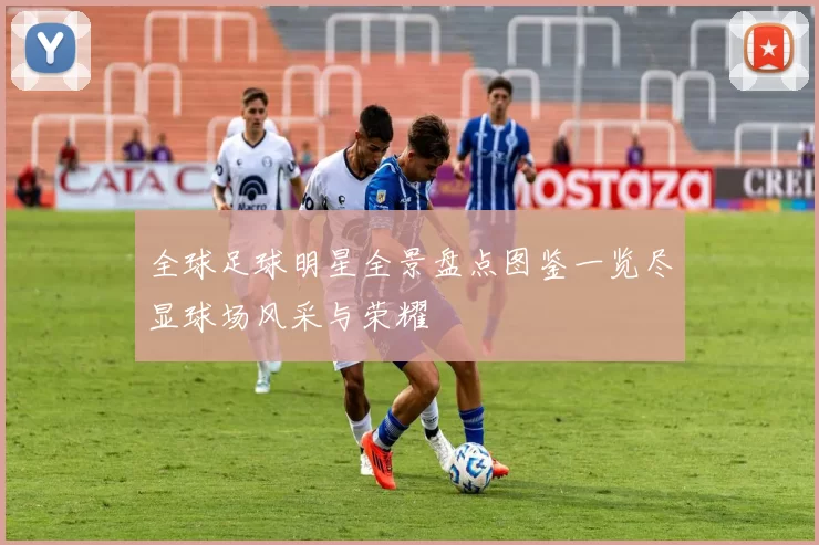 全球足球明星全景盘点图鉴一览尽显球场风采与荣耀