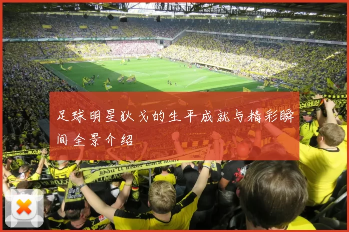 足球明星狄戈的生平成就与精彩瞬间全景介绍